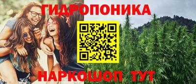 сатива Гусь-Хрустальный