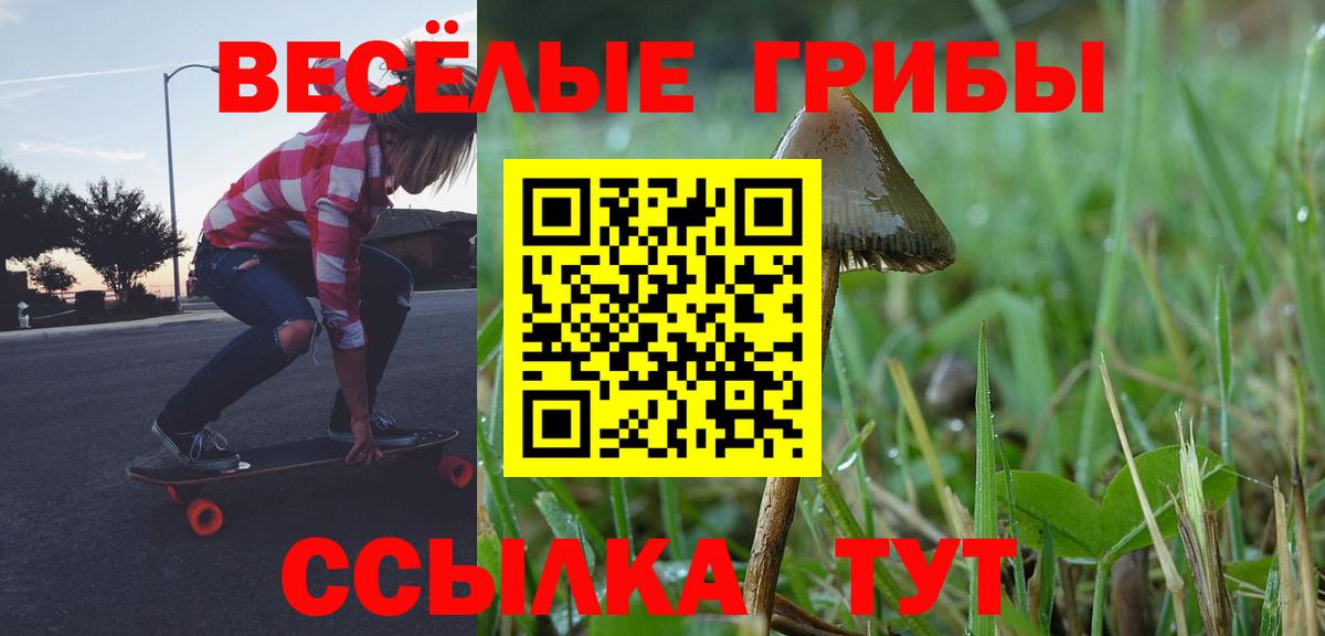 Галлюциногенные грибы мухоморы Можга