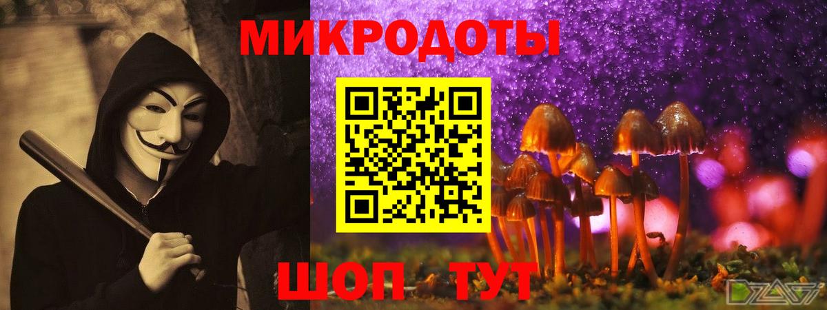 Галлюциногенные грибы прущие грибы  Вход с VPN  Можга 
